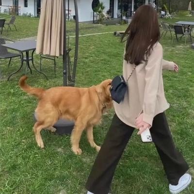 出尔反尔